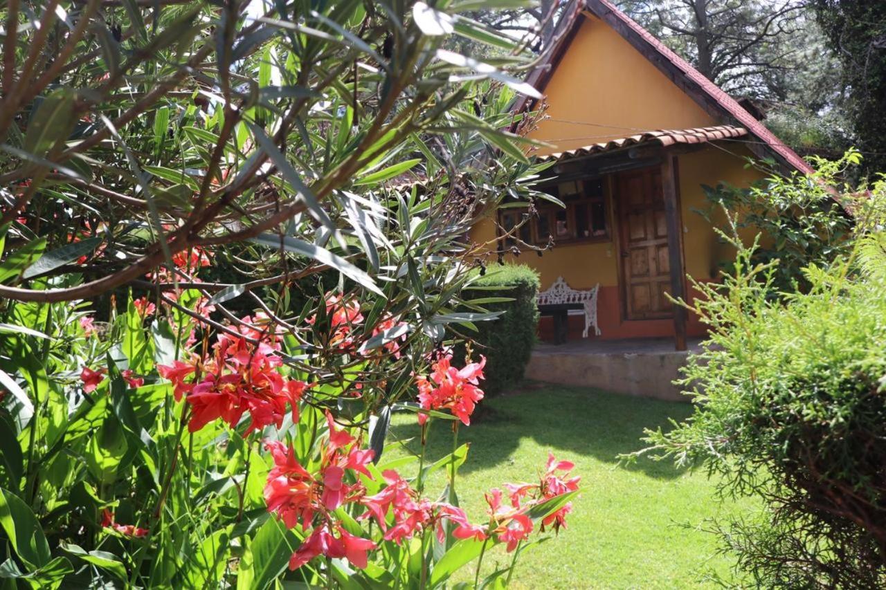 Cabañas Lupita 53 Mazamitla Exterior foto